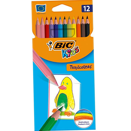Picture of BIC PENCIL COLOURS X12